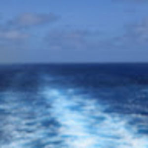 Meet your Posher, Wes heidi